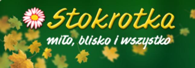 Promocje w sieci Stokrotka – gazetka 4.07-10.07